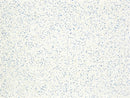 Sider-Proof roll on pool plaster - Speckled Blue