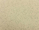 Sider-Proof roll on pool plaster - Speckled Mojave