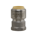 1"Pf x 1"FPT 304SS Adapter