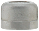 3/4" 316ss Cap Iso4144 - Pack of 60