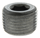 1/8 Blk Hex Socket Plug