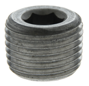 1/2 Blk Hex Socket Plug