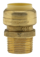 No Lead 3/4"Pfx3/4"Mpt Adapter - Pack of 6
