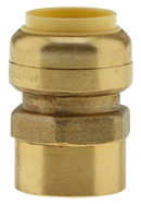 No Lead 3/4"Pfx3/4"Fpt Adapter - Pack of 6