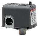 1/4" Fpt 40-60 Pulsation Plug