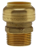 No Lead 1/2"Pfx3/4"Mpt Adapter - Pack of 6