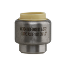 1" 304SS Pushfit Cap