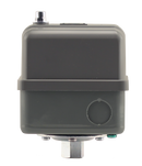 1/4" Fpt 30-50 Heavy Duty