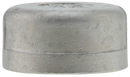 2" 316ss Cap Iso4144 - Pack of 18