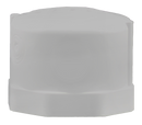 1" Fipt Cap - Schedule 40 Pvc - Pack of 10