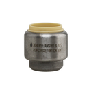 3/4" 304SS Pushfit Cap
