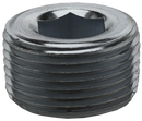 1 Galvanized Hex Socket Plug