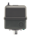 1/4" Fpt 120-150 Heavy Duty