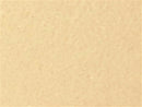 Sider-Proof roll on pool plaster - Desert Sand