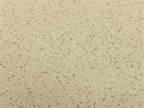 Sider-Proof roll on pool plaster - Speckled Mojave