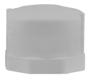 1" Fipt Cap - Schedule 40 Pvc - Pack of 10