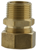 7/8" X 1" Connector - Cp X Mip - Pack of 5