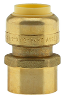 No Lead 1/2"Pfx1/2"Fpt Adapter - Pack of 12