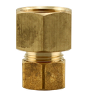 Nl Brass - 5/8"Cpx3/4"Fpt Adpt - Pack of 10