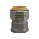 3/4"Pf x 3/4"FPT 304SS Adapter