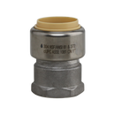 1/2"Pf x 1/2"FPT 304SS Adapter