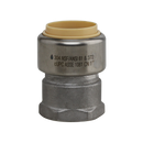 1/2"Pf x 1/2"FPT 304SS Adapter