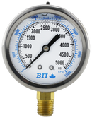 0-5000 Psi Glycerin 2-1/2"Dial - Pack of 50