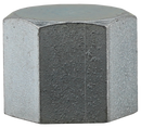 1/2 Galvanized Hex Cap