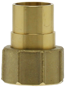 No Lead Union 1-1/4"Fptxsolder C/W O-Ring Seat - Pack of 30
