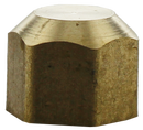 Discontinued 3/4" Sealing Cap Nut - Pack of 5