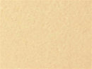 Sider-Proof roll on pool plaster - Desert Sand