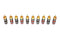 CARTER 24K Gold Plated Brass RCA Jacks | Car | Home | Audio